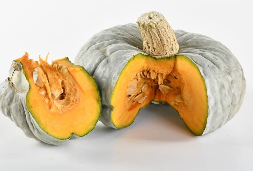 Zucca Beretta Piacentina