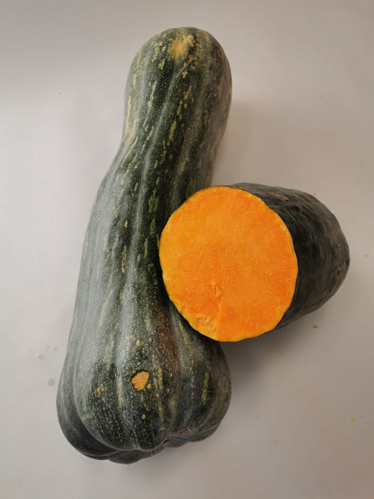 Zucca Napoli